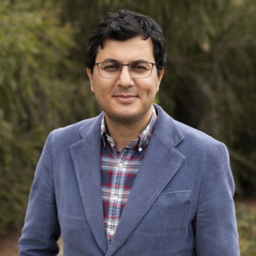 Mohsen Lesani